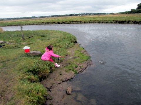My 7 year old daughter filling a bucket full of small crabs from a welsh river