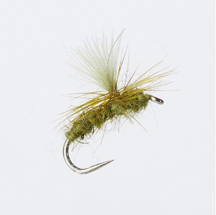 Universal olive barbless fly