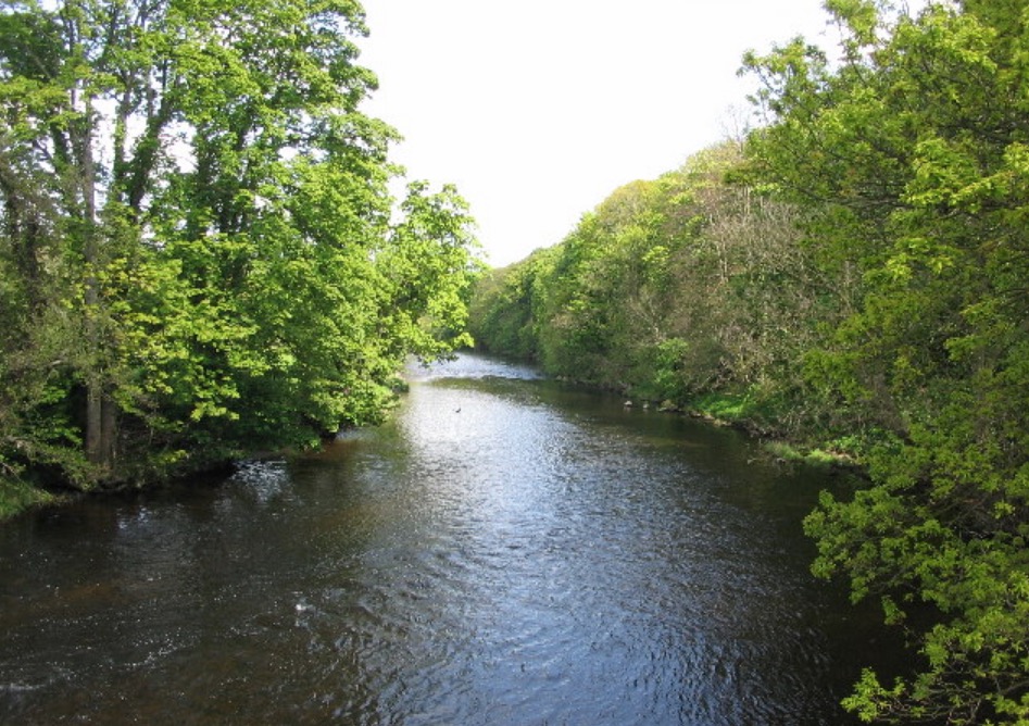 Best Flies For The River Wharfe – Peaks Fly Fishing