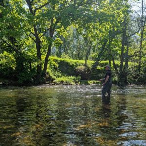 Gift Vouchers for Lessons