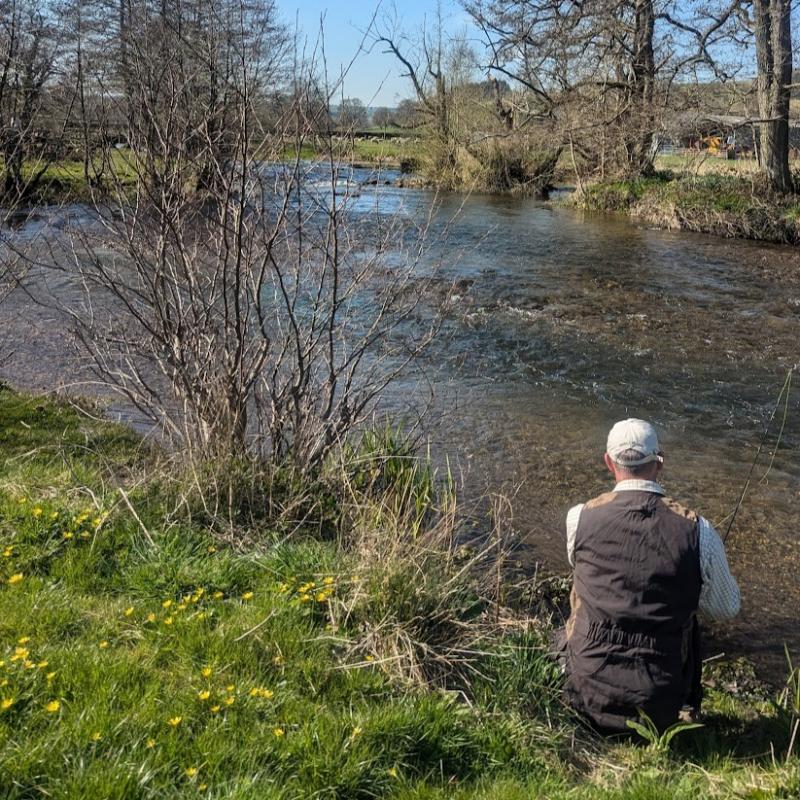 dry fly fishing on a guided day