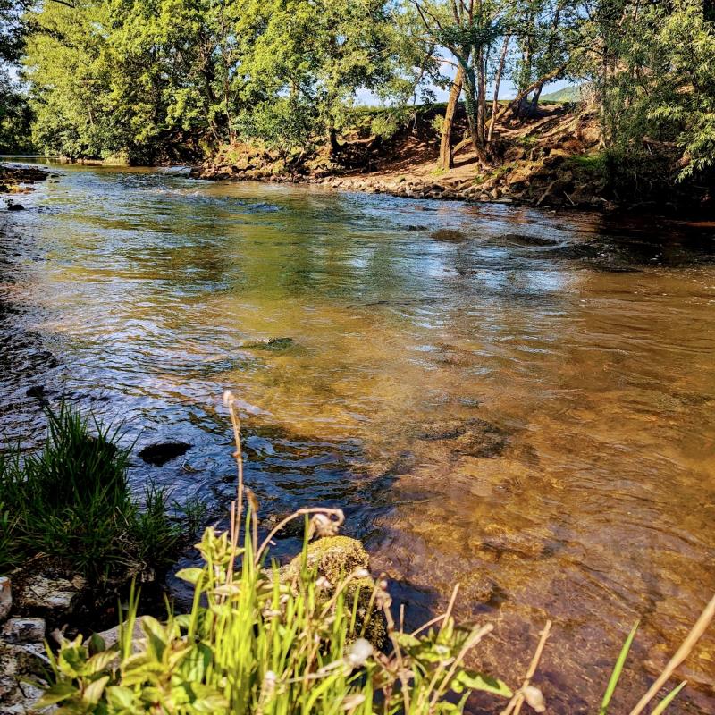 fly fishing lesson voucher - picture of a best of our private river