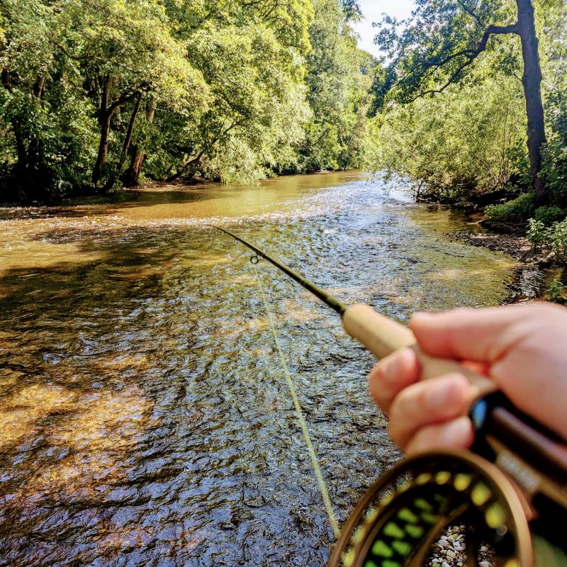 fly fishing lesson voucher - a day on our river